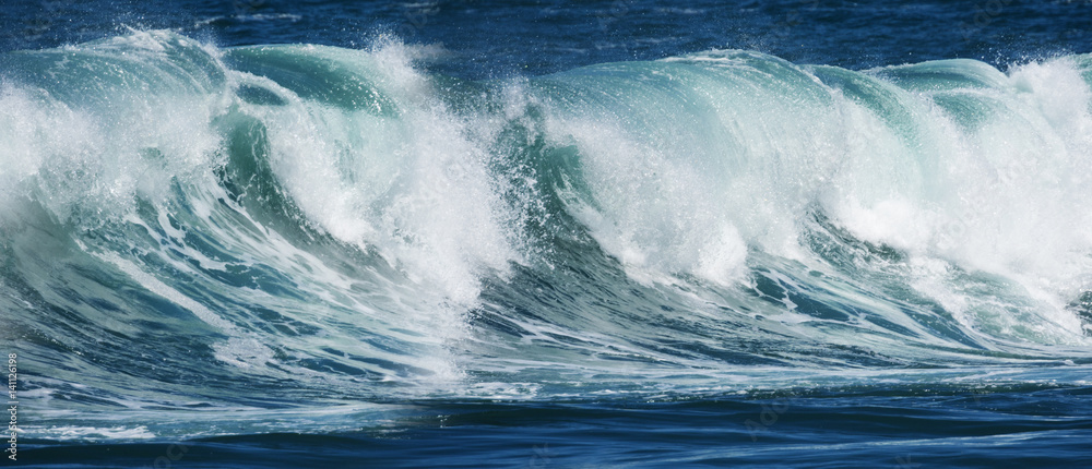 Naklejka premium big sea wave