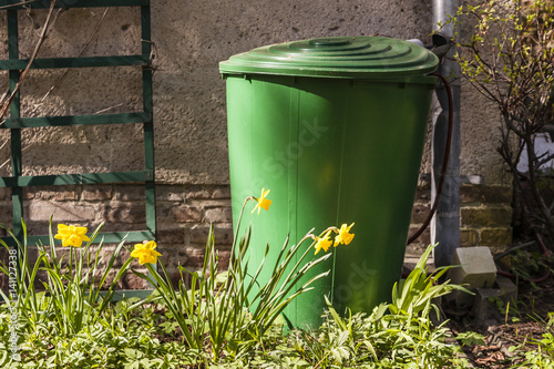 Regentonne im Garten, rain barrel in a garden