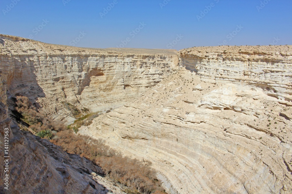National Park Ein Ovdat - Rocky Canyon in the Negev Desert of Israel.