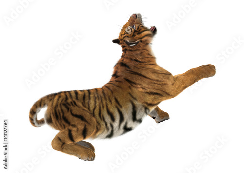 Fototapeta Naklejka Na Ścianę i Meble -  3D Rendering Big Cat Tiger on White