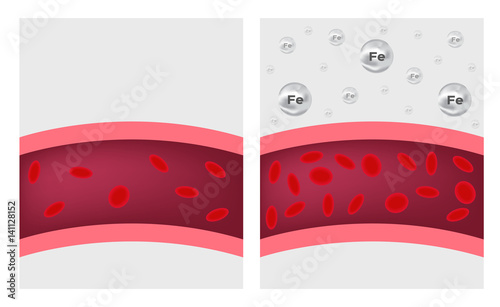 iron supplements for blood vector