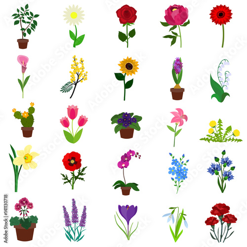 Flowers flat icon set