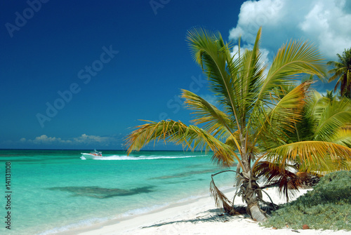 Island Saona, Caribbean Sea, La Romana in the Dominican Republic. It is easily accessible from Bayahibe, a small rural community of fishermen. photo