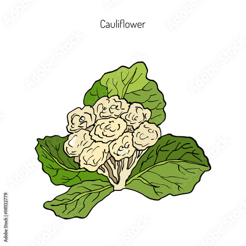 Cauliflower with leaves