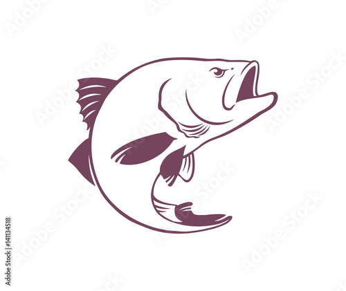 bass fish