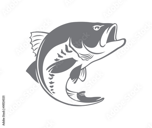 bass fish