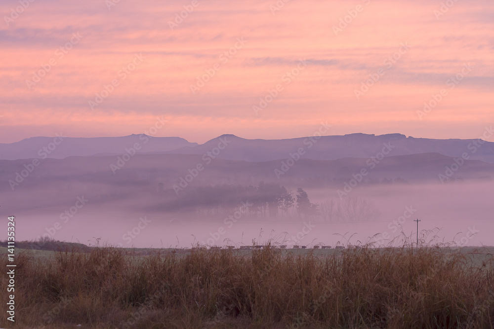 Spectacular sunrise through the mist at Underberg. Note the pink colors. Spectacular sunrise through the mist at Underberg. Note the pink colors.
