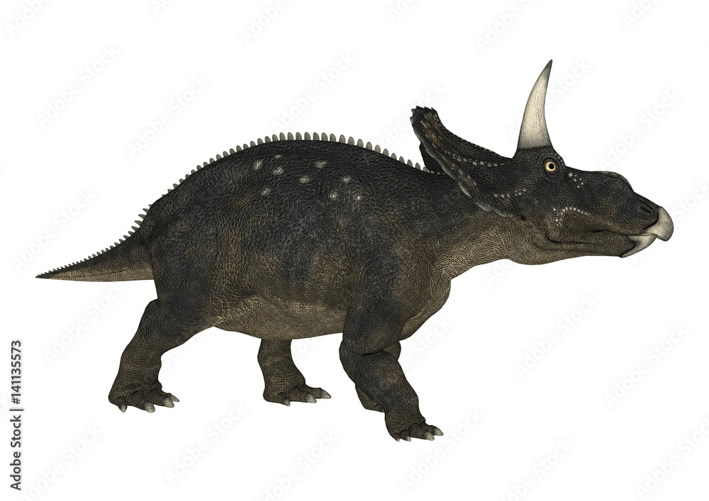 Fototapeta premium 3D renderowania dinozaurów Diceratops na białym tle
