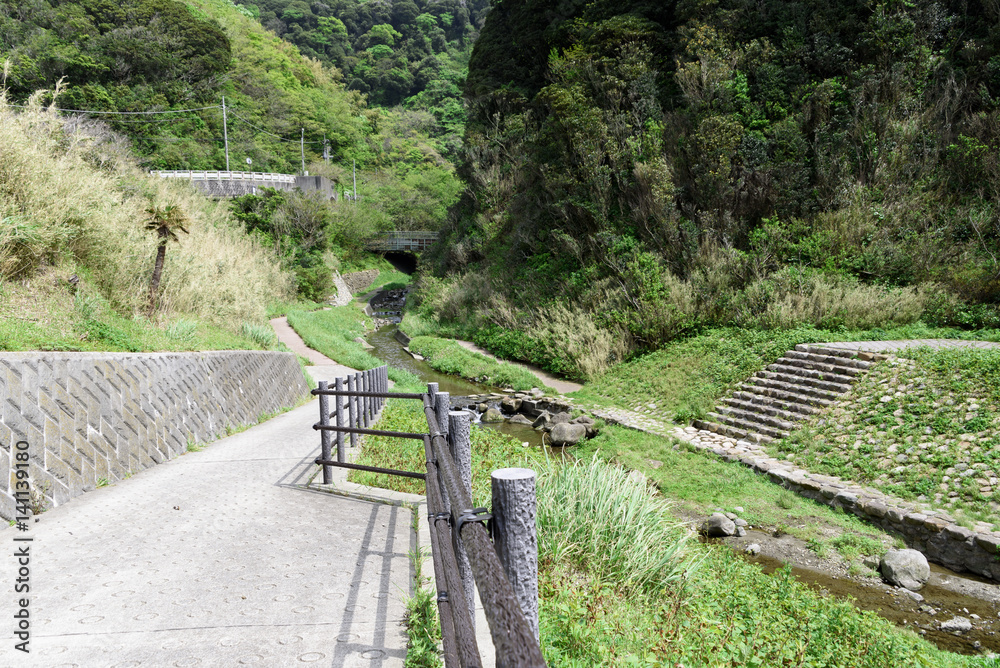 Fototapeta premium 里山 小川 森林