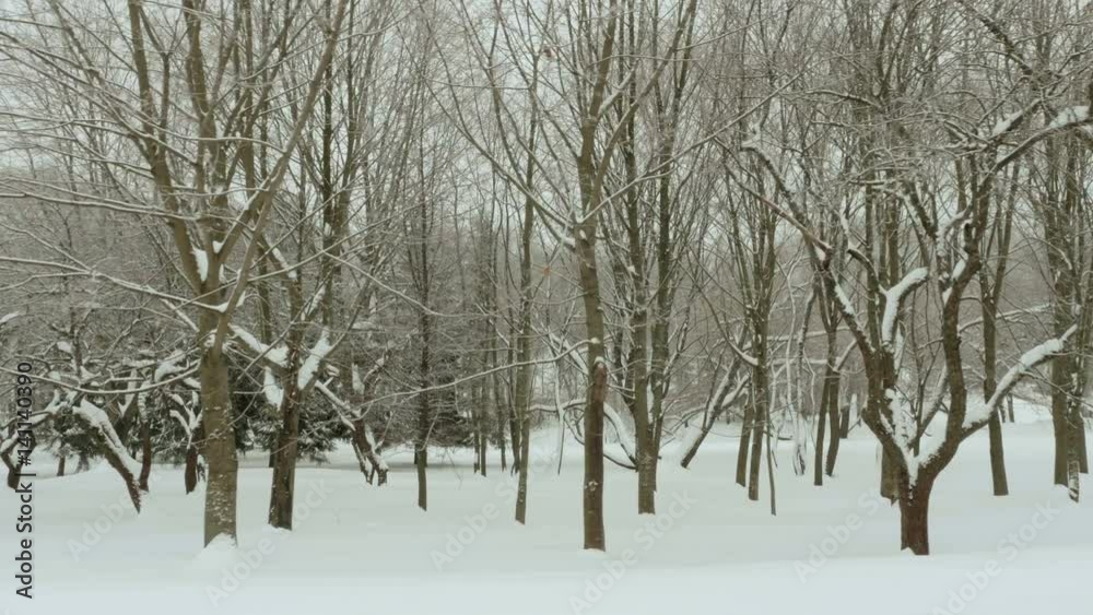Winter Park. Clean and frosty daytime. Used professional gimbal stabilazer Winter Park. Clean and frosty daytime. Used professional gimbal stabilazer