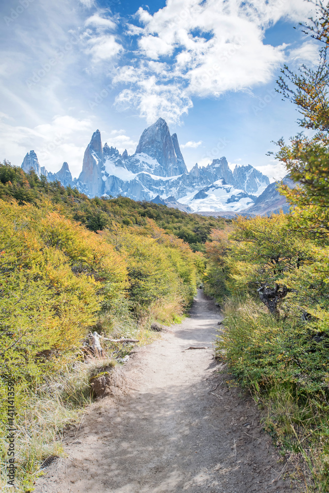 Obraz premium Trail leading to the Laguna de Los Tres at the base of Mount Fitz Roy in Argentina Patagonia