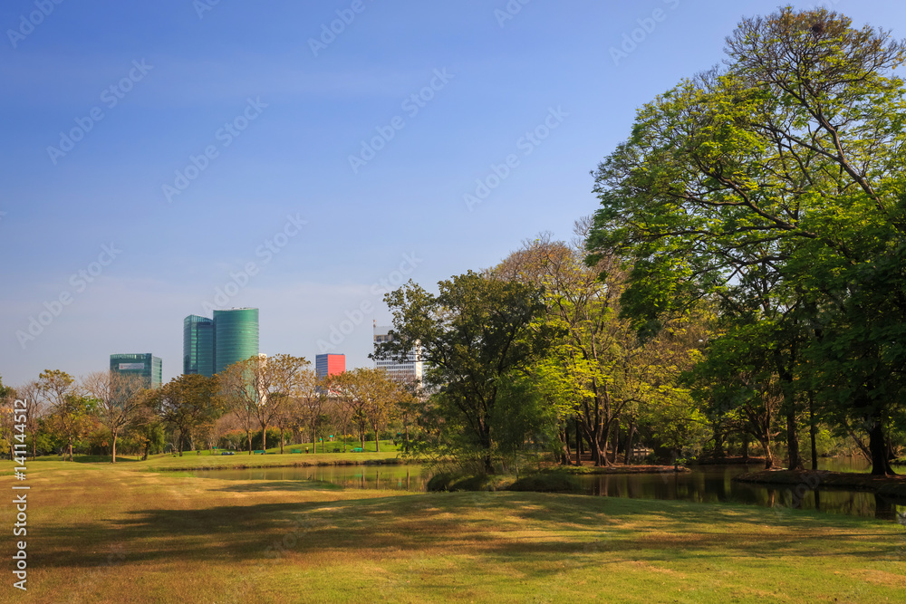 Beautiful park scene in public park with green grass field,