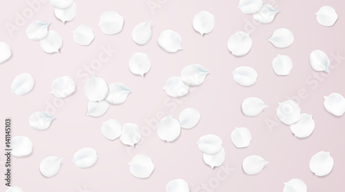 Blurred pastel background with flower petals.