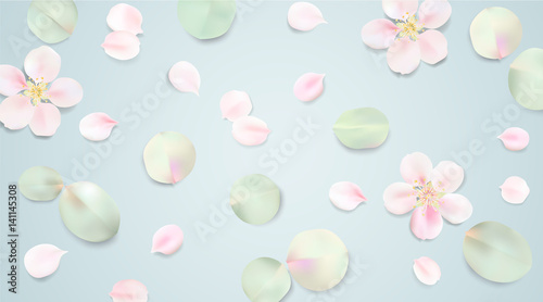 Fototapeta Naklejka Na Ścianę i Meble -  Soft color pastel background with flower petals.