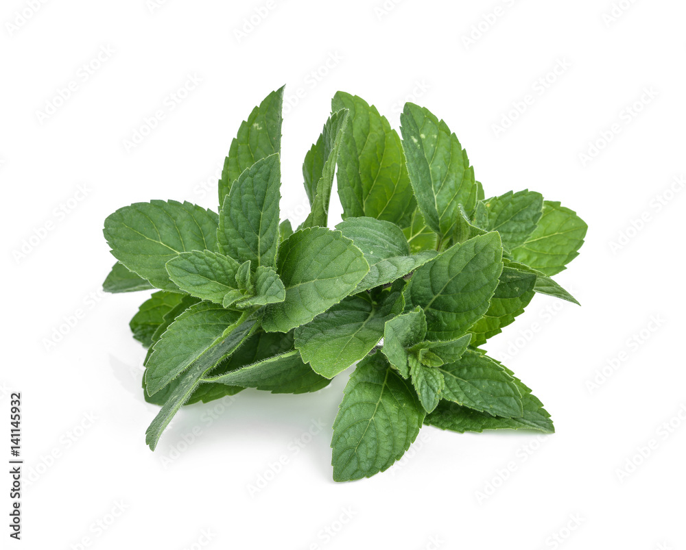 Peppermint in closeup (mint, peppermint, leaves) Peppermint in closeup (mint, peppermint, leaves)