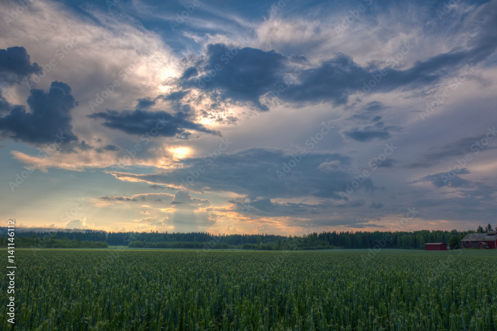 Sun shining through clouds over a wheat field