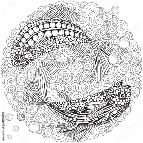 Photography Two fantastic fish swim in the sea bottom.