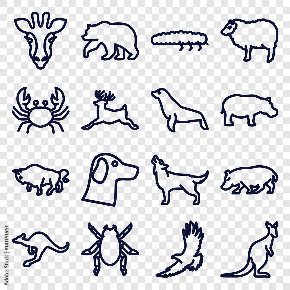 Fototapeta premium Set of 16 wildlife outline icons