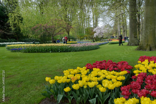 Dutch spring Keukenhof Gardens in the Netherlands. Landscape
