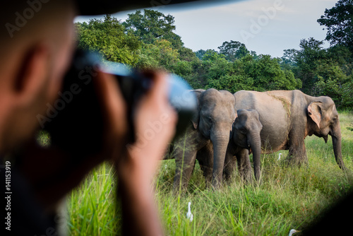 Taking pictures of a herd of elephants at a safari in Yala National Park, Sri Lanka photo
