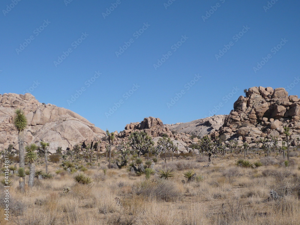 Joshua Tree National Park Joshua Tree National Park