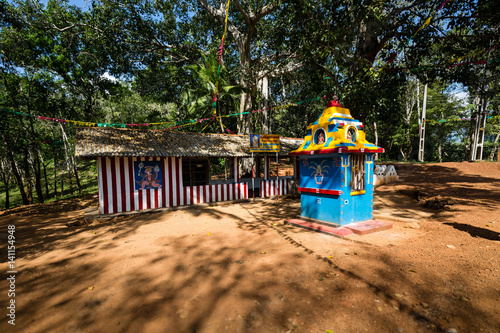 Tree covered Hindu temple at a small village in the forest  Sri Lanka