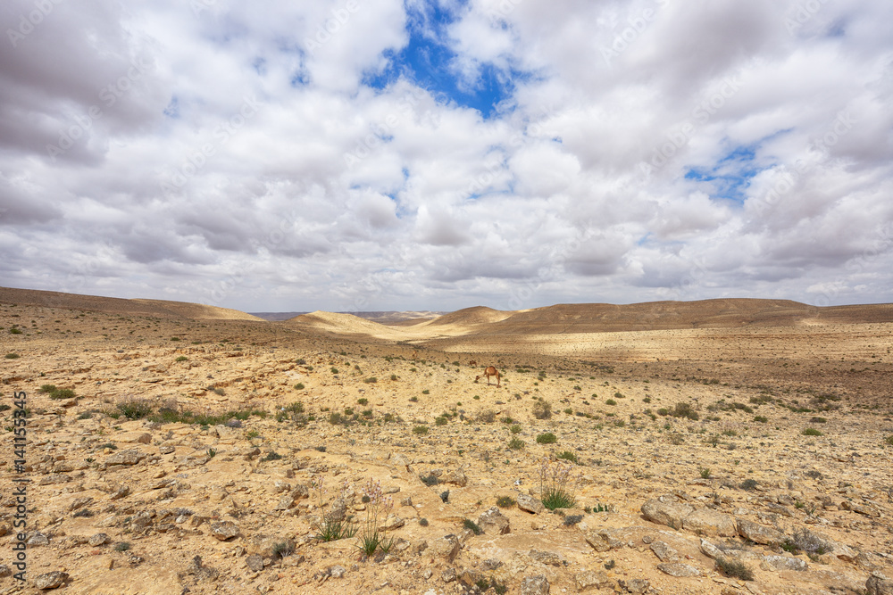 Negev desert on Israel south