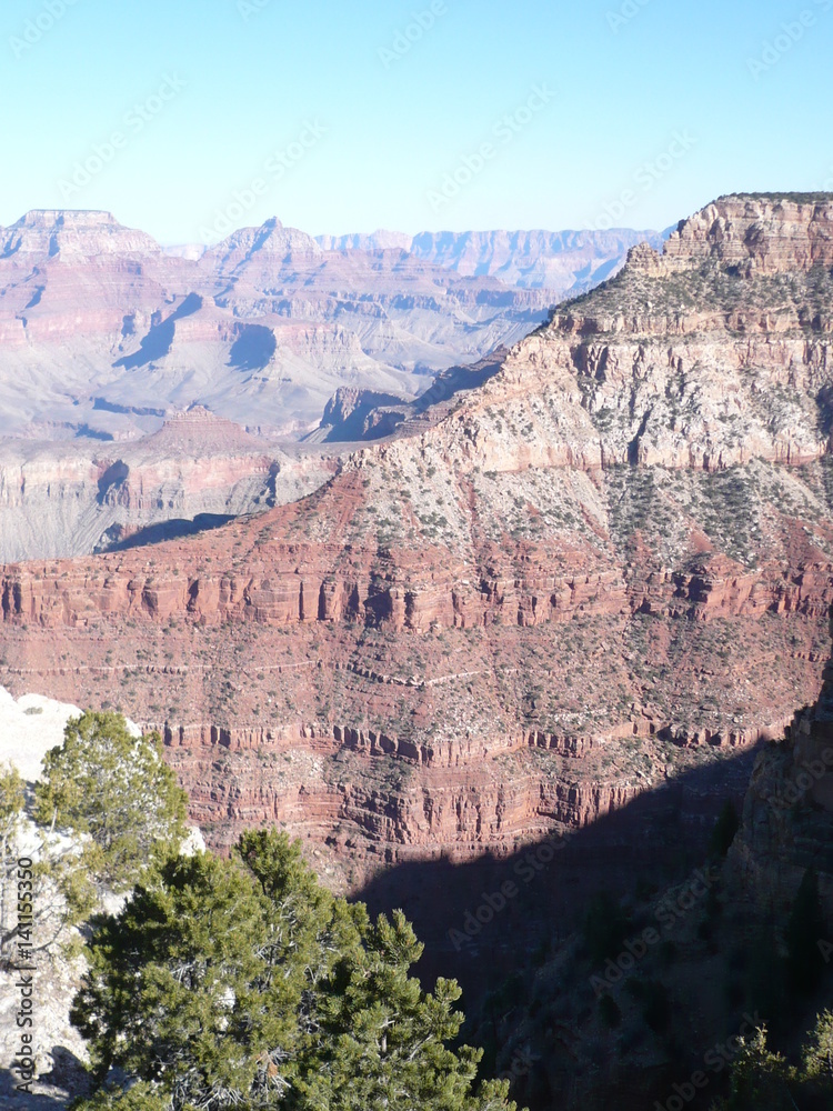 Amazing Grand Canyon view