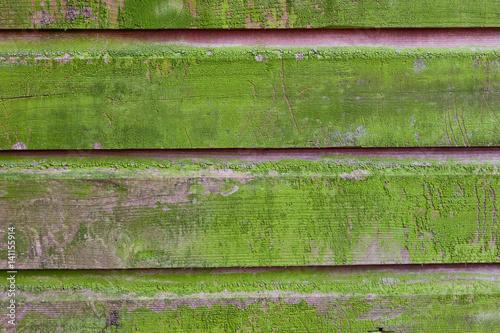 Wallpaper Mural Horizontal plank wall with green mold Torontodigital.ca