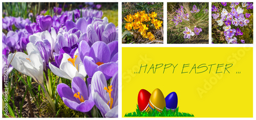 easter greeting card with lovely pictures