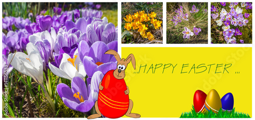 easter greeting card with lovely pictures