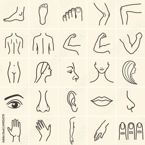 human body parts icons plastic face surgery, medical vector icons. Body sculpting system.