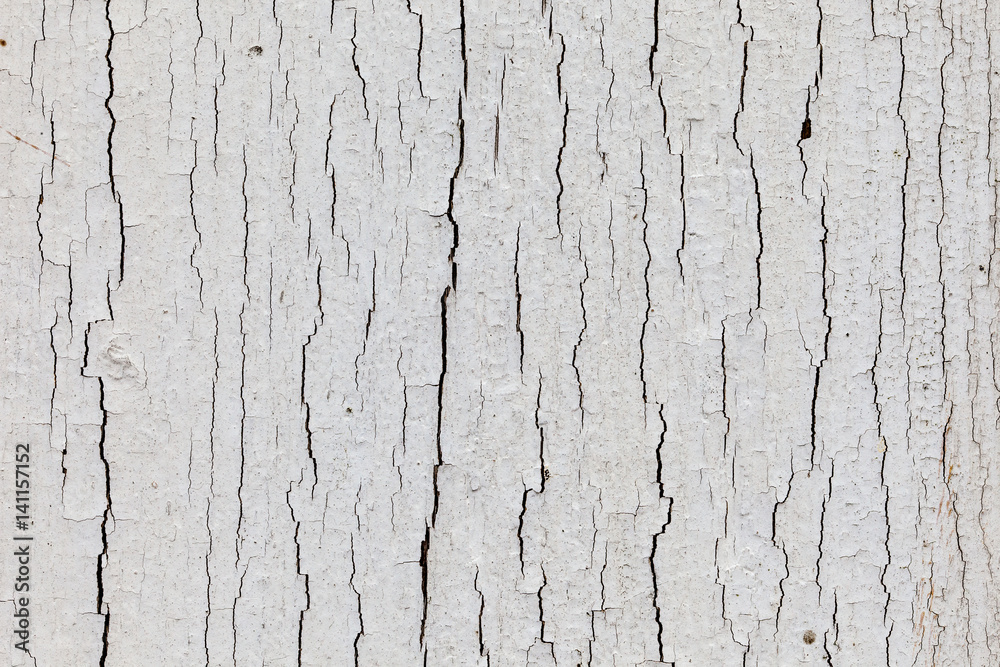 Obraz premium Dry white paint with upright cracks