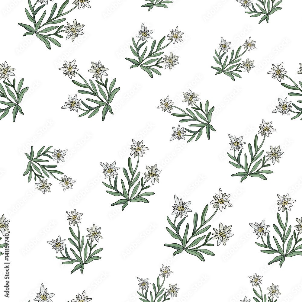 Edelweiss seamless pattern