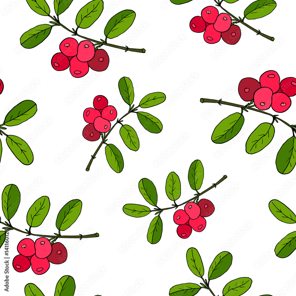 Cowberry seamless pattern Cowberry seamless pattern
