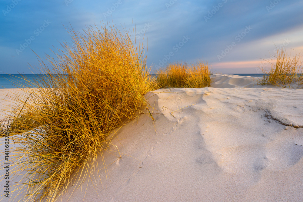 Grass, white sand dunes beach in the morning on the shore of the Baltic Sea. Poland. Grass, white sand dunes beach in the morning on the shore of the Baltic Sea. Poland.