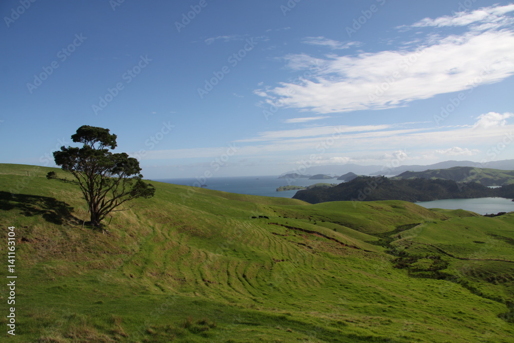 Beautiful Scenery of The North Island, New Zealand