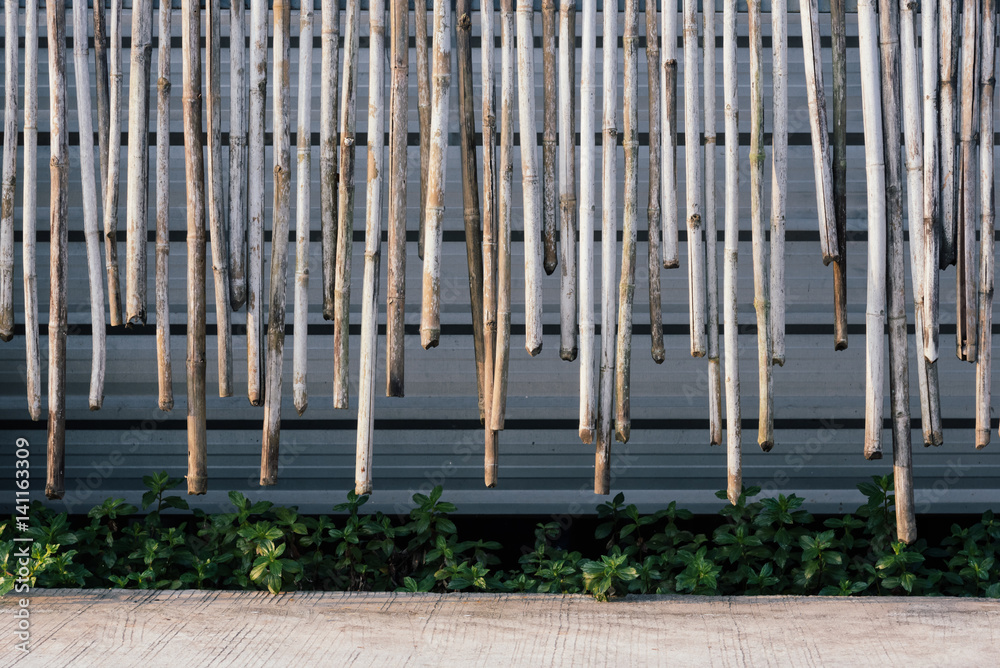 Obraz premium Cut bamboo background