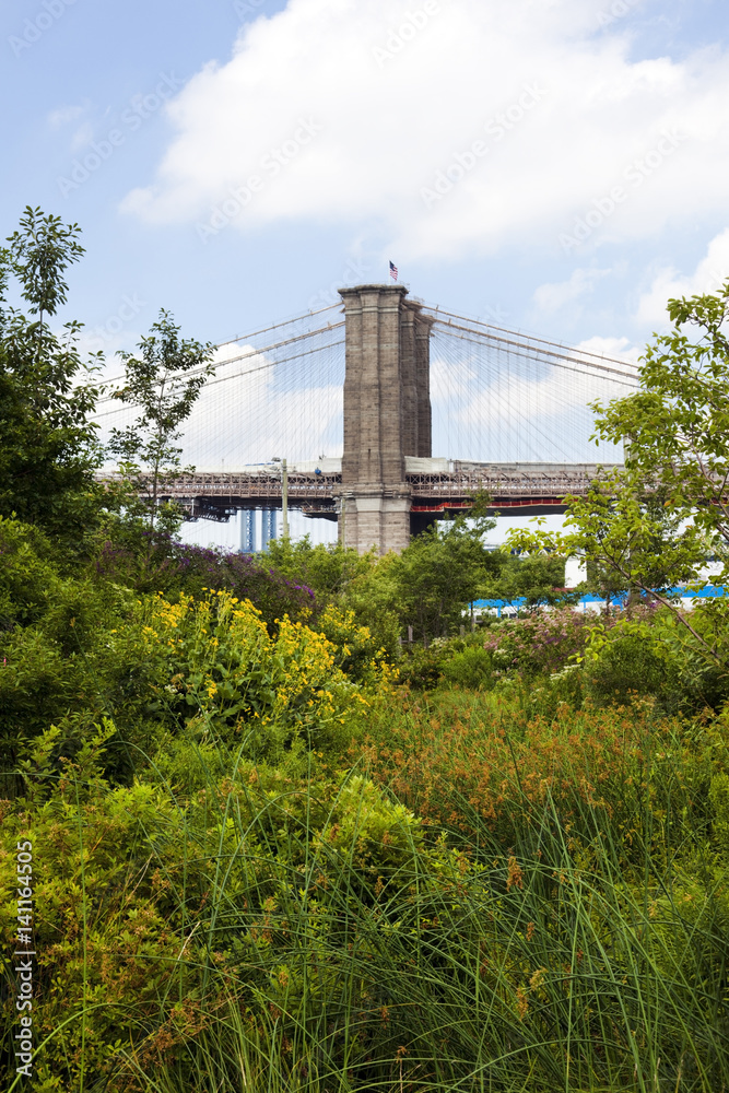 Brooklyn Bridge tower seen through trees and shrubbery Brooklyn Bridge tower seen through trees and shrubbery