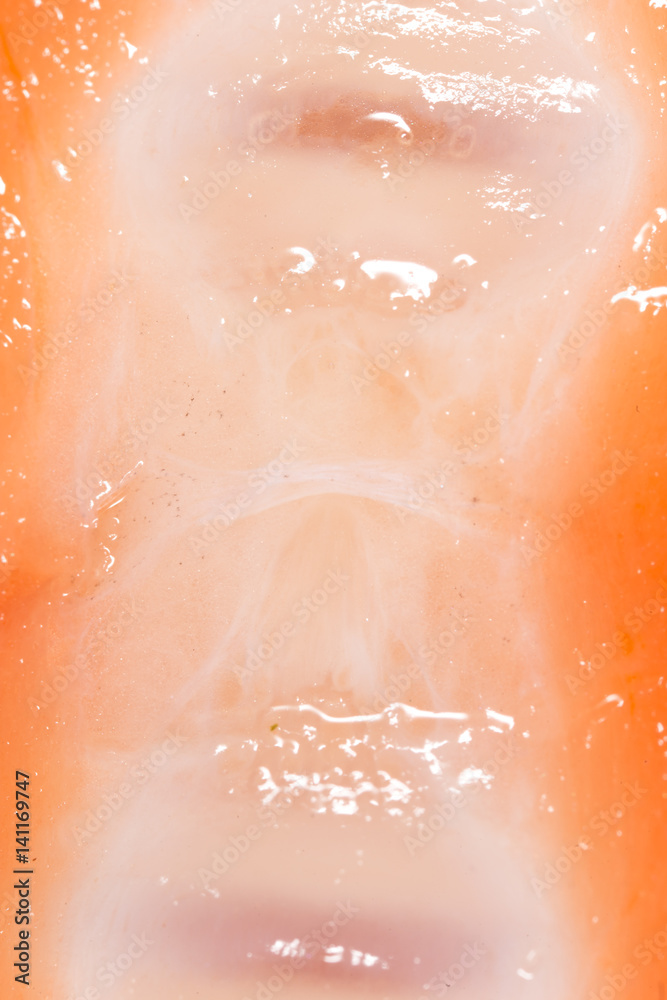 Fototapeta premium Ridge salmon as a background