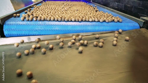 Simulation of the process of hazelnut selection and calibration in a carriage of a modern factory photo