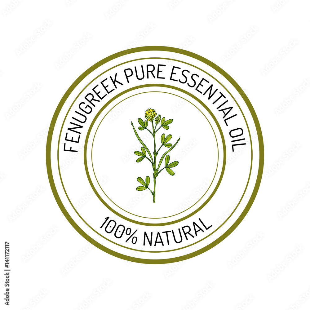 Fenugreek, essential oil label, aromatic plant Stock-Vektorgrafik | Adobe Stock
