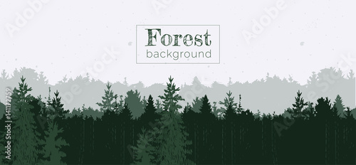 Forest panorama background