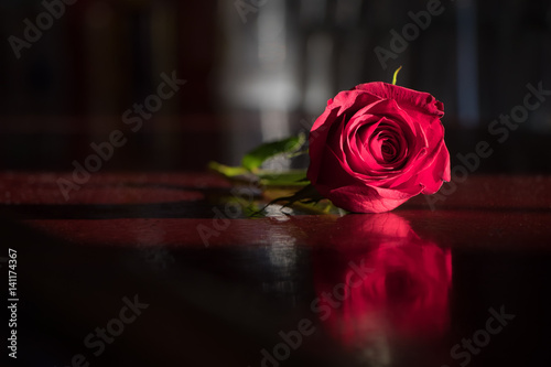 Fototapeta Naklejka Na Ścianę i Meble -  Single red rose on a polished bar against a dark blurred background