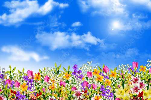 Obraz na płótnie Kolorowe wiosenne kwiaty