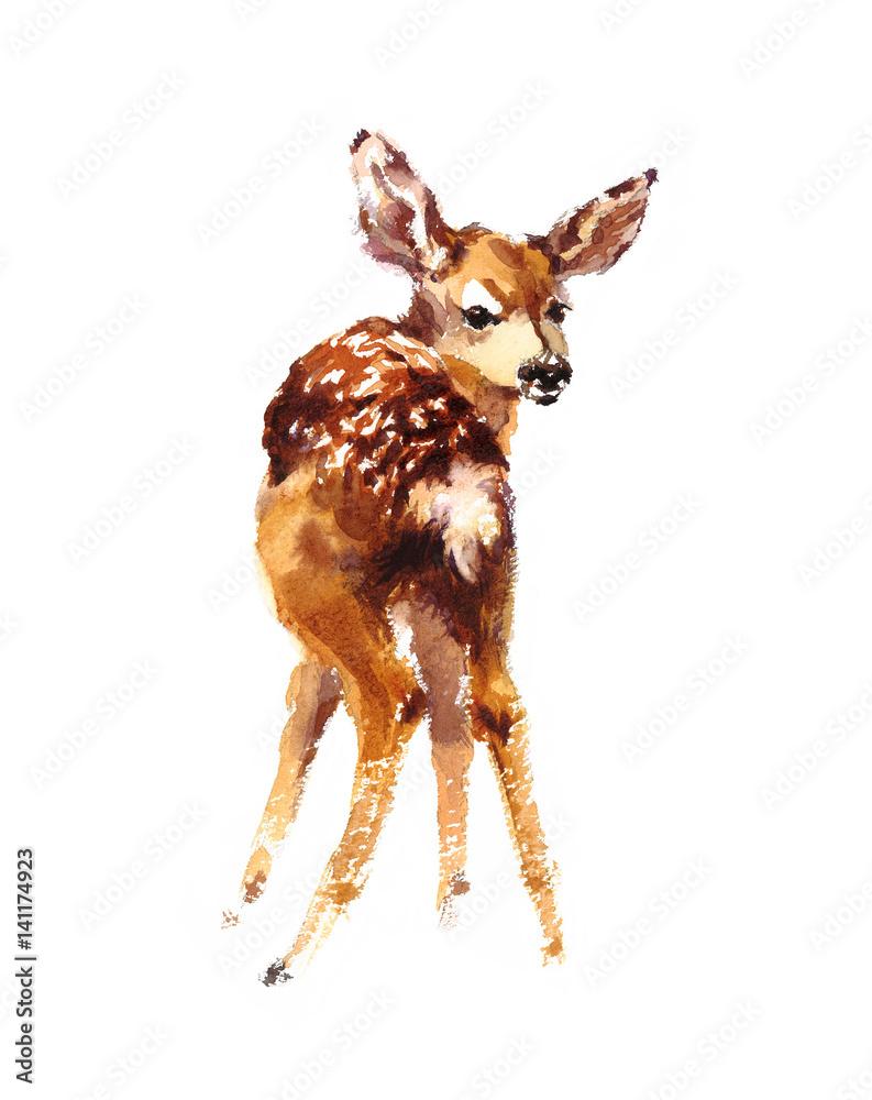 Fototapeta premium Watercolor Baby Deer Hand Painted Fawn Illustration isolated on white background