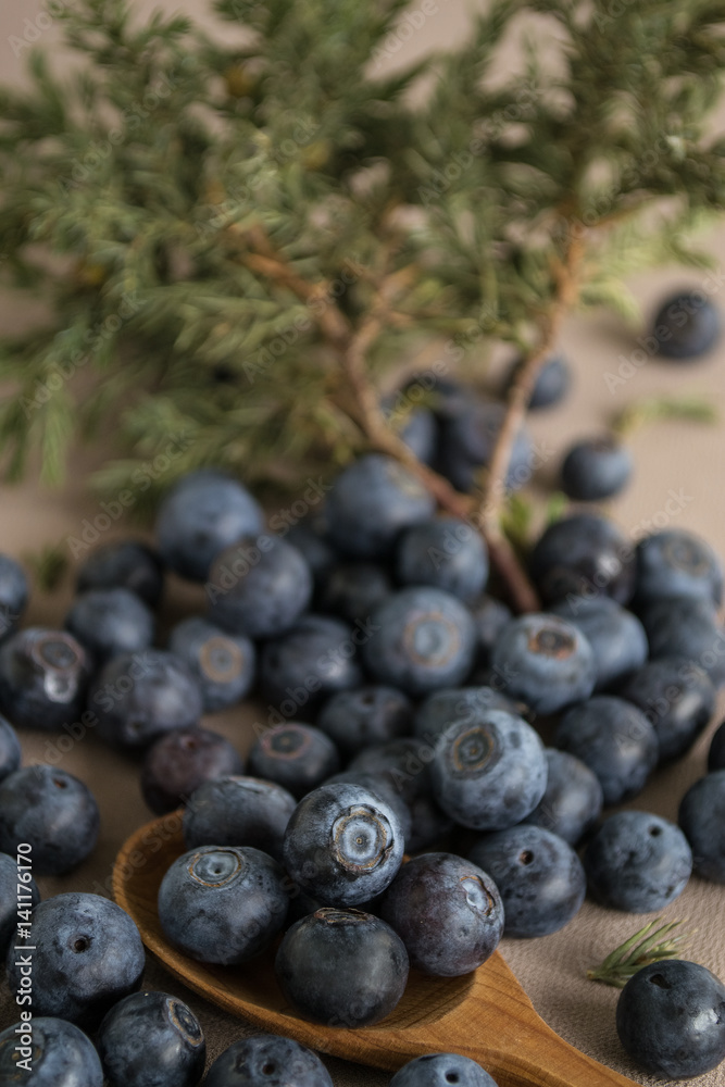 Huckleberry Huckleberry