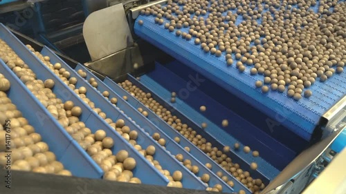 Simulation of the process of hazelnut selection and calibration in a carriage of a modern factory photo