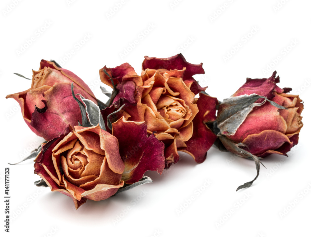 Naklejka premium dried rose flower head isolated on white background cutout