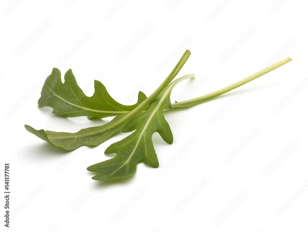 Sweet rucola salad or rocket lettuce leaves isolated on white background Sweet rucola salad or rocket lettuce leaves isolated on white background